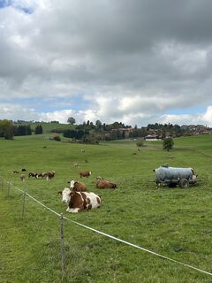 Photo de Sophie Deul le long du parcours