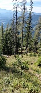 Fotografia z Mario Libardi na trase