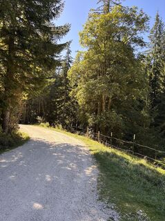 Foto von Heinz Sperl entlang der Tour