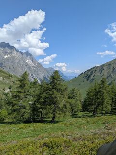 Fotografija s spletne strani mtmc na poti