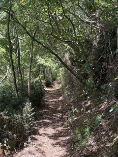 Foto de Alina Jimborean a lo largo del recorrido