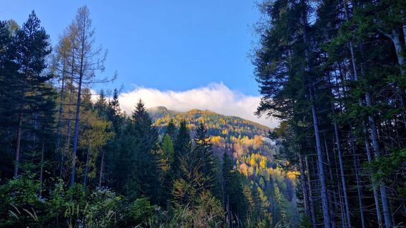 Fotografia z EP87 na trase