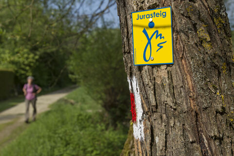 In Etterzhausen am Jurasteig