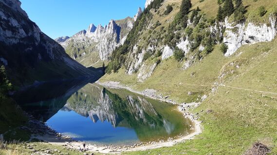 Fälensee