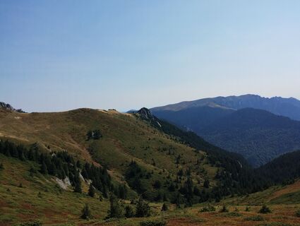 Fotografia z Tasurinki Mitote na trase