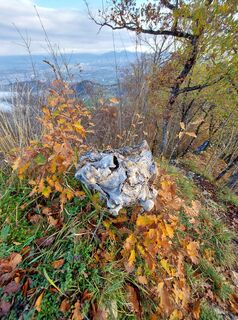 Fotografija s spletne strani Neža Veber na poti