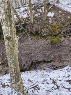 Zdjęcie z Eva Misakova wzdłuż trasy