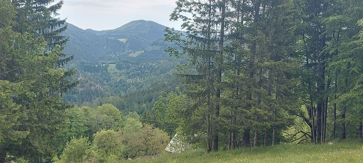 Zdjęcie z Klaus Gruber 3 wzdłuż trasy