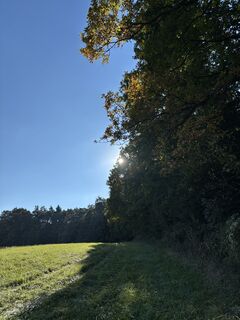 Fotografia z RS76 na trase