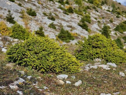 Photo de Wolfgang Unterberger le long du parcours