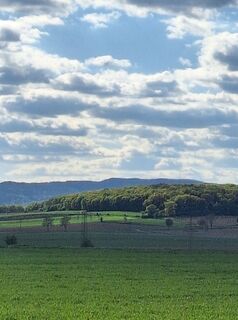 Photo de Mimi le long du parcours