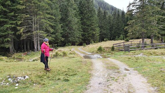 Am Hof gerade durch die Furt weiter