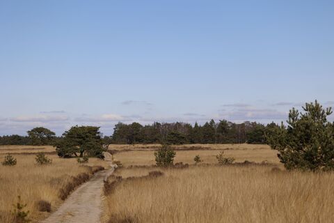 Fotografija s spletne strani Remco Bartelds na poti
