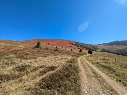 Foto von Lisi Krainer entlang der Tour