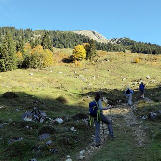 Weg zur Traunwandalm