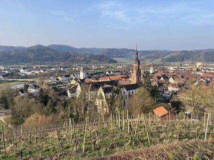 Fotografia z Ralf Umminger na trase