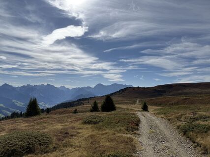 Fotografia z Frank de Vries na trase