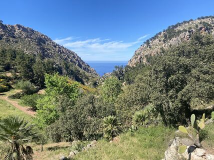 Foto från Rainer Pieper under resans gång