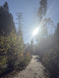 Fotografia z Steffen Kiesel na trase