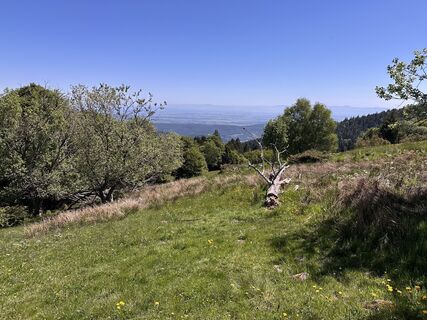 Fotografie z Maxime muller na trase
