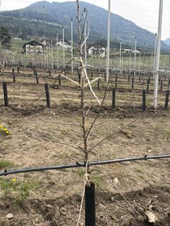 Foto von Gerald Rohrbacher entlang der Tour