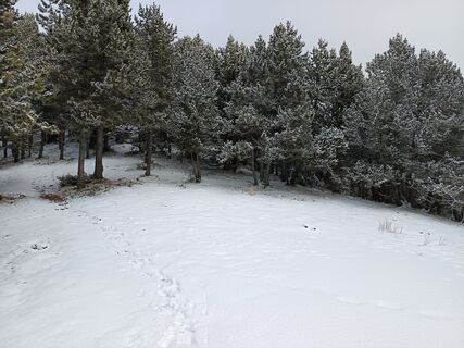 Fotografija s spletne strani carmper na poti