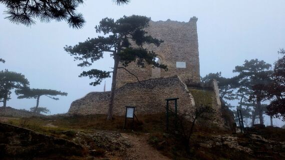 Foto de Regina Fleischmann a lo largo del recorrido