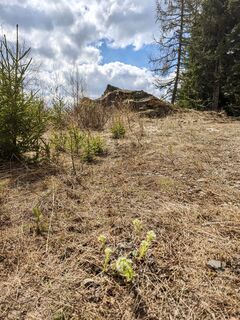 Fotografija s spletne strani Sabine Kriebernegg na poti