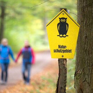 Wandern in der Dahlener Heide © T. Bichler / www.best-of-wandern.de