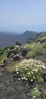 Fotografia z Tina Thommesen na trase