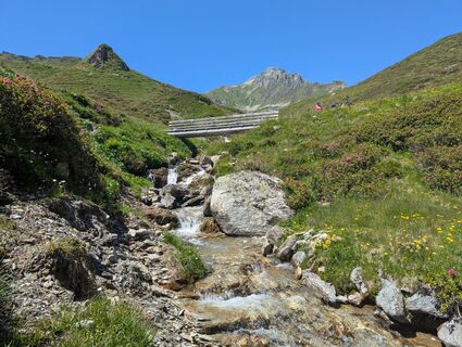 Fotografia z Johann Stadlbauer na trase