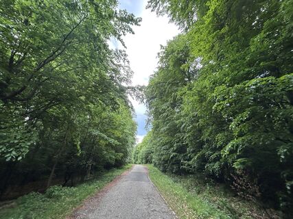 Foto von Suba Szilveszter entlang der Tour