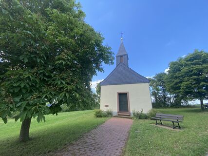 Foto från Arthur Muskalla under resans gång