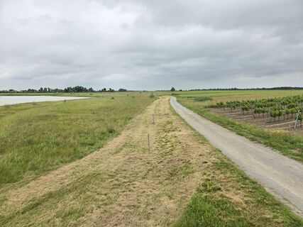 Photo de Maria Sakelschegg le long du parcours