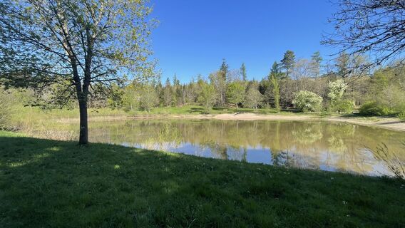 Fotografija s spletne strani Radovan Culic na poti