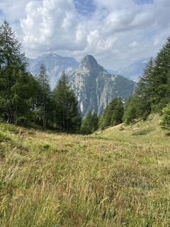 Fotografija s spletne strani Laurence Fournier na poti