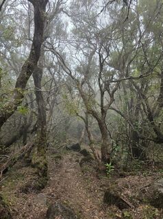 Foto de Denis Mazza a lo largo del recorrido