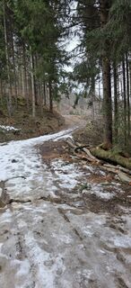 Foto von Kozma Norbert entlang der Tour