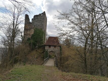 Foto von Wanderfux entlang der Tour