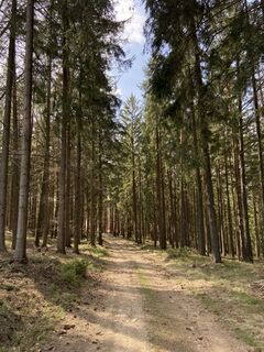 Fotografie z Attila Mihalcz na trase