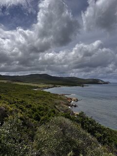 Foto de noddy suter a lo largo del recorrido