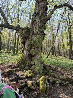 Foto de Julika Jármer a lo largo del recorrido