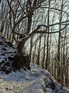 Foto de Magnetix a lo largo del recorrido