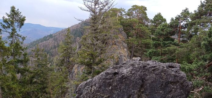 Fotografia z Bergfex Cros na trase