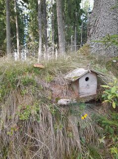 Foto de Wolfgang Schmied a lo largo del recorrido