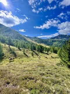 Fotografia z Steffen Gebhardt na trase