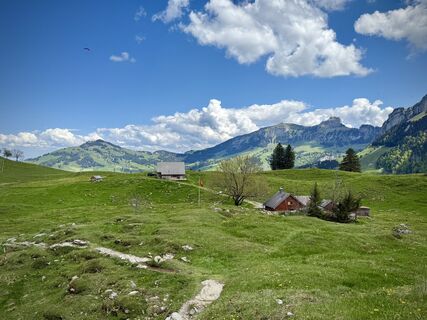 Photo de Daniel Herz le long du parcours