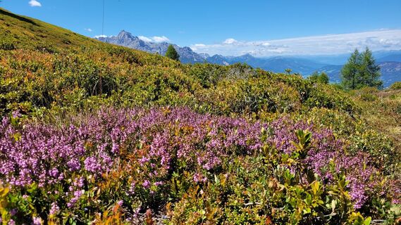 Photo de Juliane le long du parcours