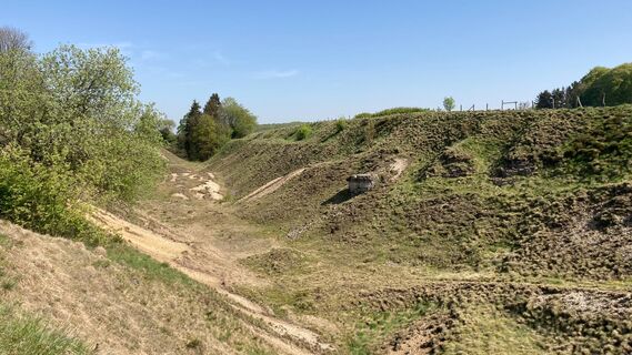 Naturschutzgebiet Bleikuhlen | Lichtenau-Blankenrode
