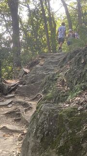 Foto von Niko Zantl entlang der Tour
